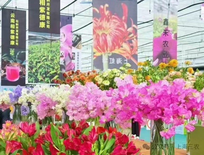 17601424917908838NkX.jpg 11.jpg