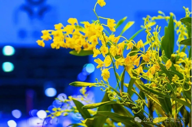 17601427056079128MGQ.jpg 14.jpg