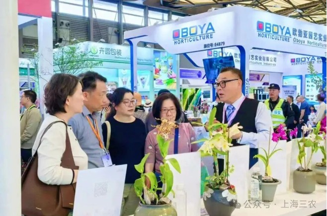 1760142762639535wsuS.jpg 15.jpg